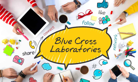 C Com Digital bags media mandate of Blue Cross Laboratories